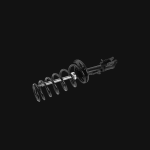 Compression Spring